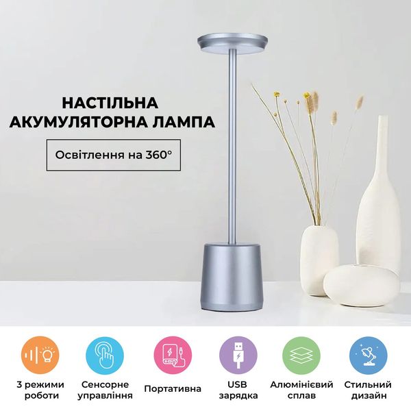 Настольная аккумуляторная LED лампа Table01: сенсорное управление, 3 режима работы Серый Table01-02_297 фото